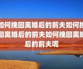 如何挽回离婚后的前夫如何挽回离婚后的前夫如何挽回离婚后的前夫呢