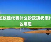 粉玫瑰代表什么粉玫瑰代表什么意思