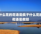 什么花的花语是疯子什么花的花语是救赎