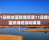 11朵碎冰蓝玫瑰花语11朵碎冰蓝玫瑰花语和寓意