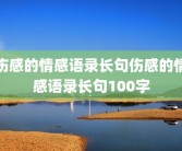伤感的情感语录长句伤感的情感语录长句100字