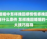 婚姻中怎样挽回感情情感挽回有什么条件 怎样挽回婚姻的十大技巧指导