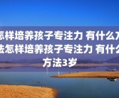 怎样培养孩子专注力 有什么方法怎样培养孩子专注力 有什么方法3岁