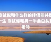 测试你和什么样的伴侣能共度一生 测试你和另一半会白头到老吗