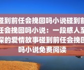 碰到前任会挽回吗小说碰到前任会挽回吗小说：一段感人至深的爱情故事碰到前任会挽回吗小说免费阅读