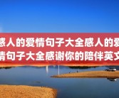 感人的爱情句子大全感人的爱情句子大全感谢你的陪伴英文