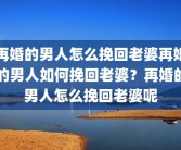 再婚的男人怎么挽回老婆再婚的男人如何挽回老婆？再婚的男人怎么挽回老婆呢