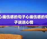 心痛伤感的句子心痛伤感的句子说说心情