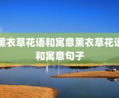 薰衣草花语和寓意薰衣草花语和寓意句子