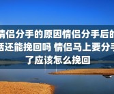 情侣分手的原因情侣分手后的话还能挽回吗 情侣马上要分手了应该怎么挽回