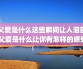 父爱是什么这些瞬间让人泪目 父爱是什么让你有怎样的感受