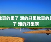 我真的累了 活的好累我真的累了 活的好累啊