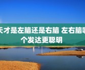 天才是左脑还是右脑 左右脑哪个发达更聪明 
