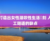 打造出女性潮吹性生活時刻 人工阴道的缺点