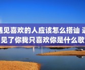遇见喜欢的人应该怎么搭讪 遇见了你我只喜欢你是什么歌