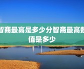 智商最高是多少分智商最高数值是多少