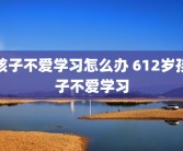 孩子不爱学习怎么办 612岁孩子不爱学习