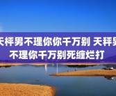天枰男不理你你千万别 天秤男不理你千万别死缠烂打 