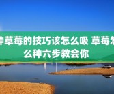 种草莓的技巧该怎么吸 草莓怎么种六步教会你 
