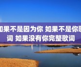 如果不是因为你 如果不是你歌词 如果没有你完整歌词