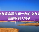 交友宣言霸气短一点的 交友宣言最吸引人句子 