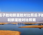 瓜子脸和鹅蛋脸对比照瓜子脸和鹅蛋脸对比照男