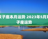 双子座本月运势 2023年5月双子座运势