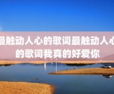 最触动人心的歌词最触动人心的歌词我真的好爱你