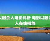 以眼杀人电影评析 电影以眼杀人在线播放