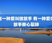有一种爱叫做放手 有一种爱叫放手撕心裂肺