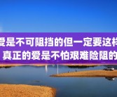爱是不可阻挡的但一定要这样 真正的爱是不怕艰难险阻的
