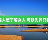 男人想了解女人 可以先养只猫