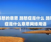 暴怒的意思 路怒症是什么 路怒症是什么意思网络用语