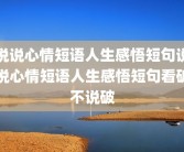 说说心情短语人生感悟短句说说心情短语人生感悟短句看破不说破