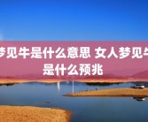 梦见牛是什么意思 女人梦见牛是什么预兆 