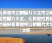 我要看挽回的图片大全挽回爱情的图片大全，让你重拾爱情的美好我要看挽回的图片大全大图