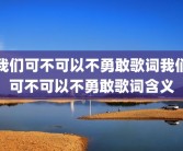 我们可不可以不勇敢歌词我们可不可以不勇敢歌词含义