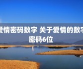 爱情密码数字 关于爱情的数字密码6位 