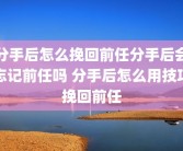 分手后怎么挽回前任分手后会忘记前任吗 分手后怎么用技巧挽回前任