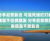 分手后想复合 可是死缠烂打都挽留不住男朋友 分手后想男朋友但是不想复合
