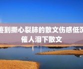 疼到撕心裂肺的散文伤感低沉催人泪下散文