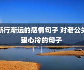 渐行渐远的感情句子 对老公失望心冷的句子 