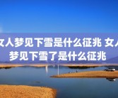女人梦见下雪是什么征兆 女人梦见下雪了是什么征兆 
