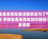 金鱼系男友我活着就是为了气你 争做金鱼系男友如何跟妹子更恩爱