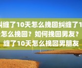 纠缠了10天怎么挽回纠缠了10天怎么挽回？如何挽回男友？纠缠了10天怎么挽回男朋友