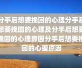 分手后想要挽回的心理分手后想要挽回的心理及分手后想要挽回的心理原因分手后想要挽回的心理原因