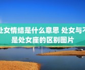 处女情结是什么意思 处女与不是处女座的区别图片