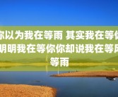 你以为我在等雨 其实我在等你 明明我在等你你却说我在等风等雨