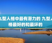 九型人格中最有潜力的 九型人格最好的和最坏的 