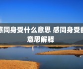 感同身受什么意思 感同身受的意思解释 